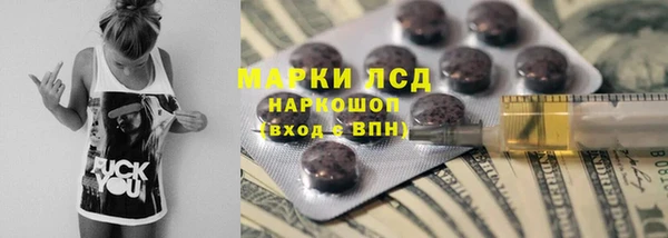 стаф Абинск