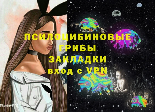 стаф Абинск