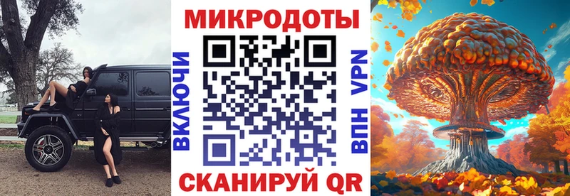 где найти наркотики  Новокузнецк  Псилоцибиновые грибы ЛСД 