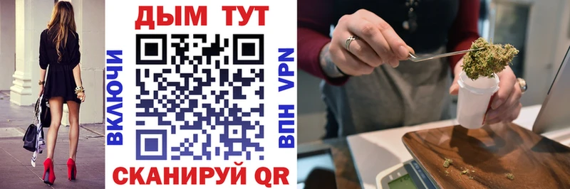 Конопля гибрид  Новокузнецк 